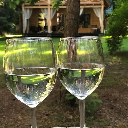 Raj W Lesie - Paradise In The Woods Nadkole