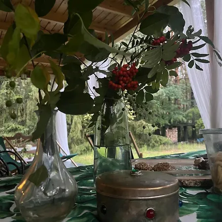 Вилла Raj W Lesie - Paradise In The Woods
