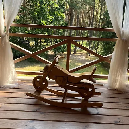 Raj W Lesie - Paradise In The Woods