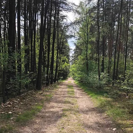 Вилла Raj W Lesie - Paradise In The Woods